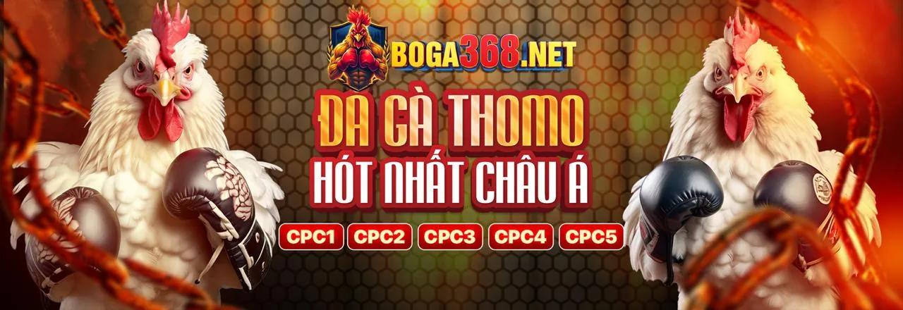 Thưởng nạp lại và hoàn trả hàng tuần