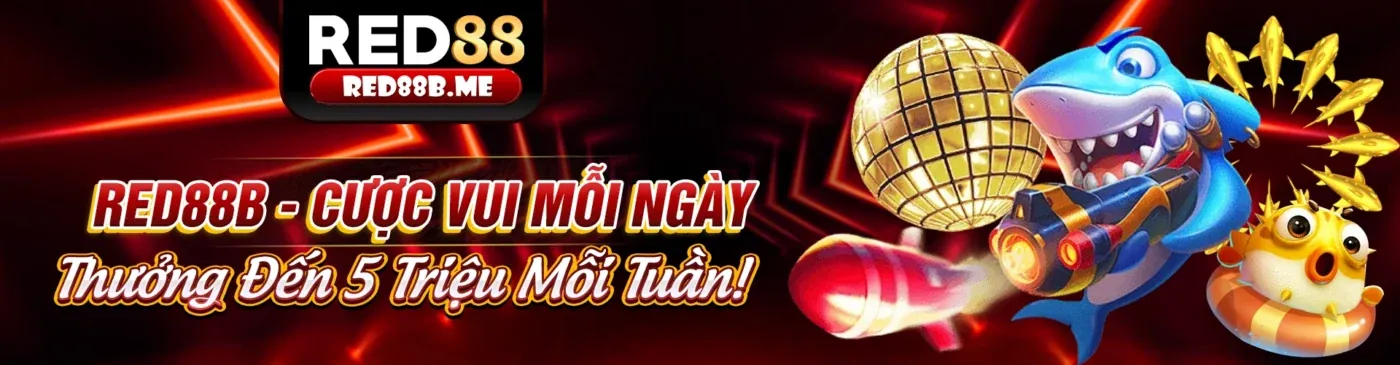 Bước 3: Chọn Phương Thức & Nhập Thông Tin